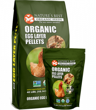 Healthy Dog Foods